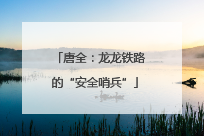 唐全：龙龙铁路的“安全哨兵”