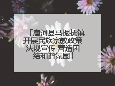 唐河县马振抚镇开展民族宗教政策法规宣传 营造团结和谐氛围