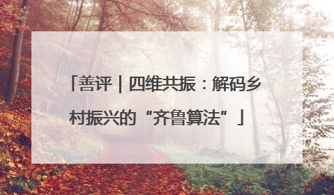 善评｜四维共振：解码乡村振兴的“齐鲁算法”