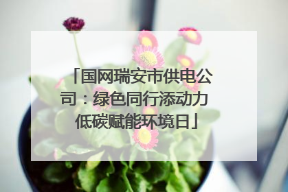 国网瑞安市供电公司：绿色同行添动力 低碳赋能环境日