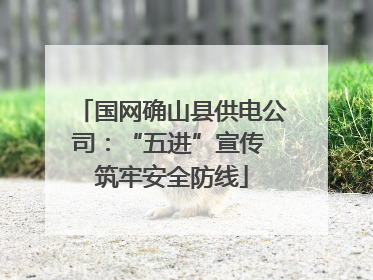 国网确山县供电公司：“五进”宣传 筑牢安全防线