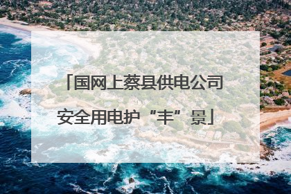 国网上蔡县供电公司安全用电护“丰”景