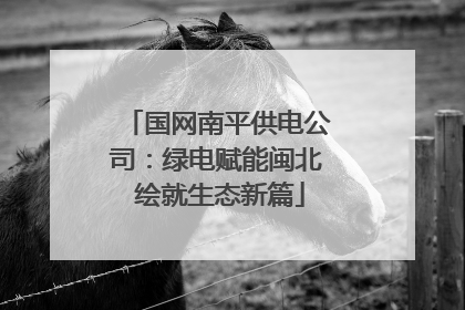 国网南平供电公司：绿电赋能闽北 绘就生态新篇