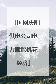 国网庆阳供电公司电力赋能桃花经济