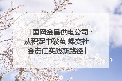 国网金昌供电公司：从积淀中破茧 蝶变社会责任实践新路径