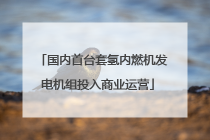 国内首台套氢内燃机发电机组投入商业运营