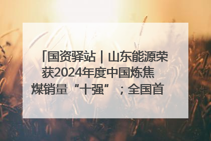 国资驿站｜山东能源荣获2024年度中国炼焦煤销量“十强”；全国首例铁路盖上智慧物流园钢结构主体完工