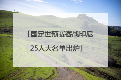 国足世预赛客战印尼25人大名单出炉