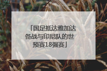 国足抵达雅加达备战与印尼队的世预赛18强赛