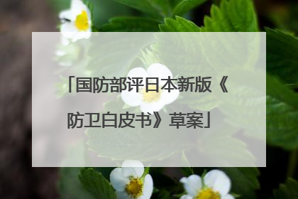 国防部评日本新版《防卫白皮书》草案