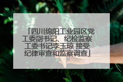 四川绵阳工业园区党工委副书记、纪检监察工委书记李玉琼 接受纪律审查和监察调查