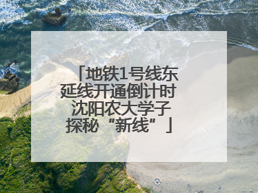 地铁1号线东延线开通倒计时 沈阳农大学子探秘“新线”