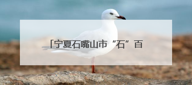 宁夏石嘴山市“石”百千万师带徒行动启动