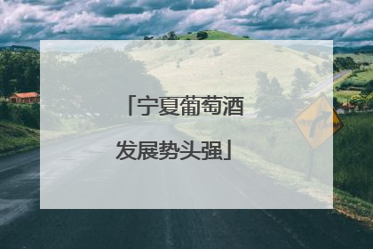 宁夏葡萄酒发展势头强
