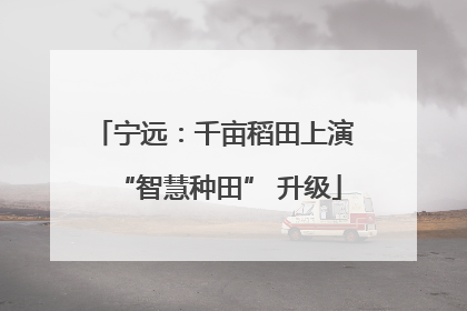 宁远：千亩稻田上演 “智慧种田” 升级