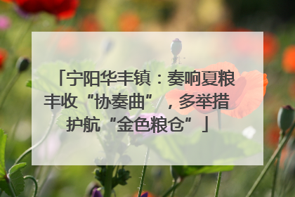 宁阳华丰镇：奏响夏粮丰收“协奏曲”，多举措护航“金色粮仓”