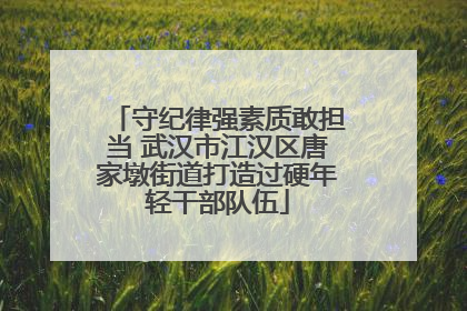 守纪律强素质敢担当 武汉市江汉区唐家墩街道打造过硬年轻干部队伍
