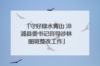 守好绿水青山 漳浦县委书记督导涉林图斑整改工作