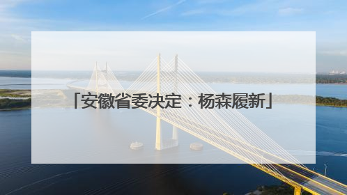 安徽省委决定：杨森履新