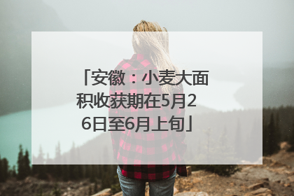 安徽：小麦大面积收获期在5月26日至6月上旬