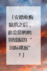 安踏收购狼爪之后，谁会是鸭鸭羽绒服的“国际跳板”？