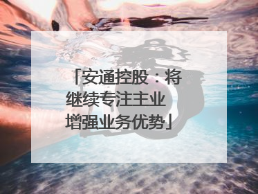 安通控股：将继续专注主业 增强业务优势