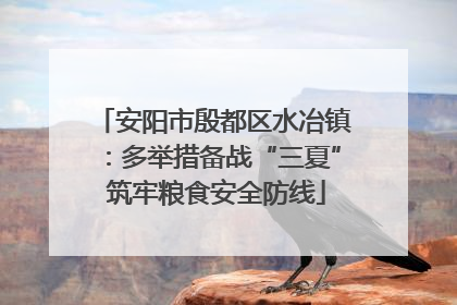 安阳市殷都区水冶镇：多举措备战“三夏” 筑牢粮食安全防线