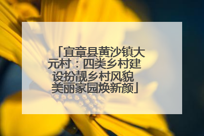 宜章县黄沙镇大元村：四类乡村建设扮靓乡村风貌 美丽家园焕新颜