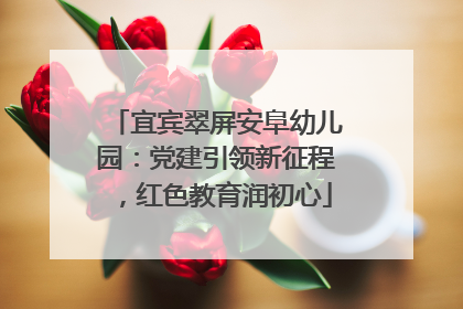 宜宾翠屏安阜幼儿园：党建引领新征程，红色教育润初心