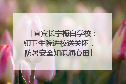宜宾长宁梅白学校：镇卫生院进校送关怀，防暑安全知识润心田