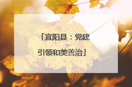 宜阳县：党建引领和美善治