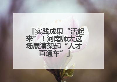 实践成果“活起来”！河南师大这场展演架起“人才直通车”