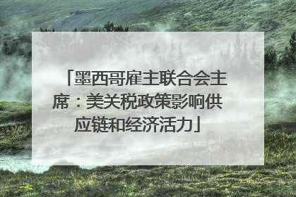 墨西哥雇主联合会主席：美关税政策影响供应链和经济活力
