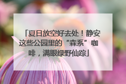 夏日放空好去处！静安这些公园里的“森系”咖啡，满眼绿野仙踪