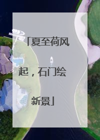 夏至荷风起，石门绘新景