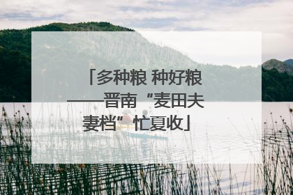 多种粮 种好粮——晋南“麦田夫妻档”忙夏收