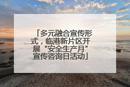 多元融合宣传形式，临港新片区开展“安全生产月”宣传咨询日活动