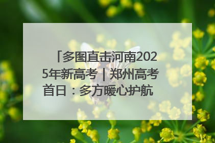 多图直击河南2025年新高考｜郑州高考首日：多方暖心护航 助力学子逐梦