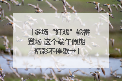 多场“好戏”轮番登场 这个端午假期精彩不停歇→