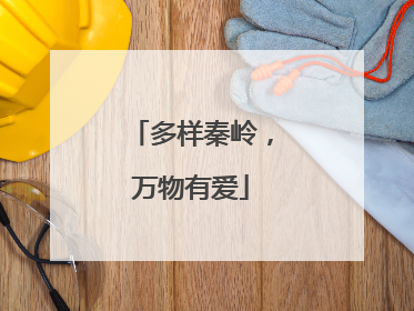 多样秦岭，万物有爱