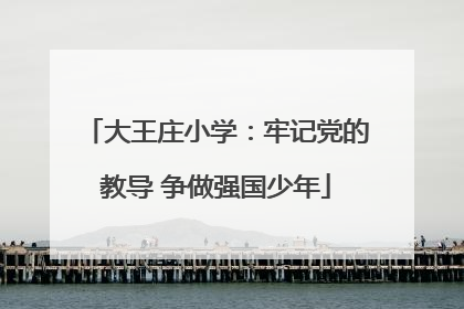 大王庄小学：牢记党的教导 争做强国少年