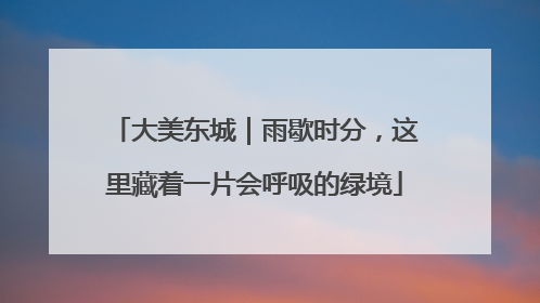 大美东城｜雨歇时分，这里藏着一片会呼吸的绿境