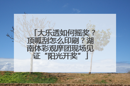 大乐透如何摇奖？顶呱刮怎么印刷？湖南体彩观摩团现场见证“阳光开奖”