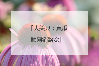 大关县：黄瓜触网销路宽