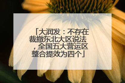 大润发：不存在裁撤东北大区说法，全国五大营运区整合提效为四个