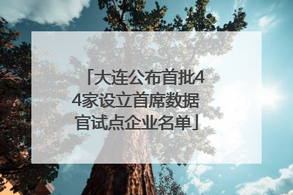 大连公布首批44家设立首席数据官试点企业名单
