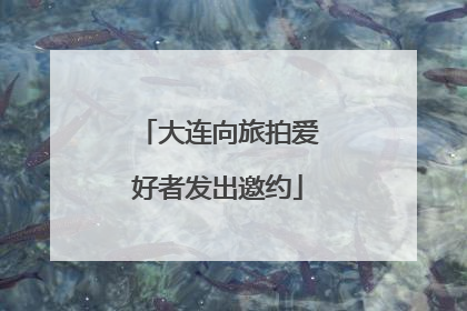 大连向旅拍爱好者发出邀约