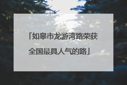 如皋市龙游湾路荣获全国最具人气的路