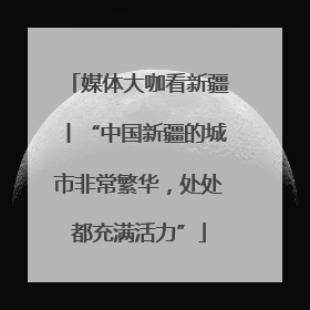 媒体大咖看新疆丨“中国新疆的城市非常繁华，处处都充满活力”