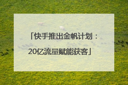 快手推出金帆计划：20亿流量赋能获客